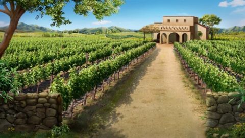 ぶどう園の労働者のたとえ話における神様の隠された御旨をあなたは知っているか